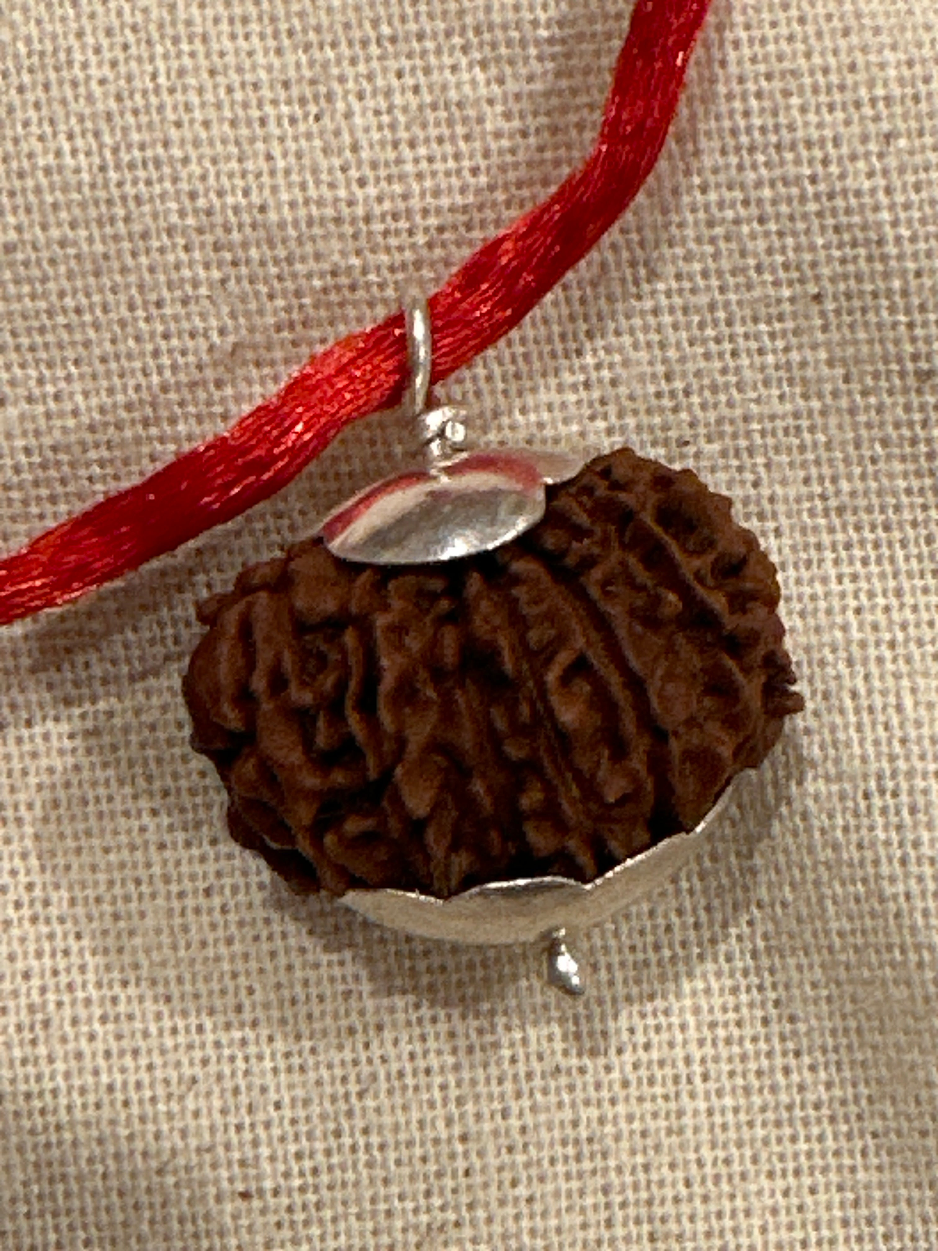 16 Mukhi Rudraksha