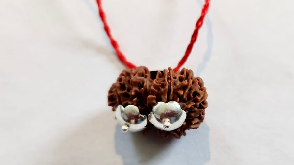 14 Mukhi Gauri Shankar Rudraksha