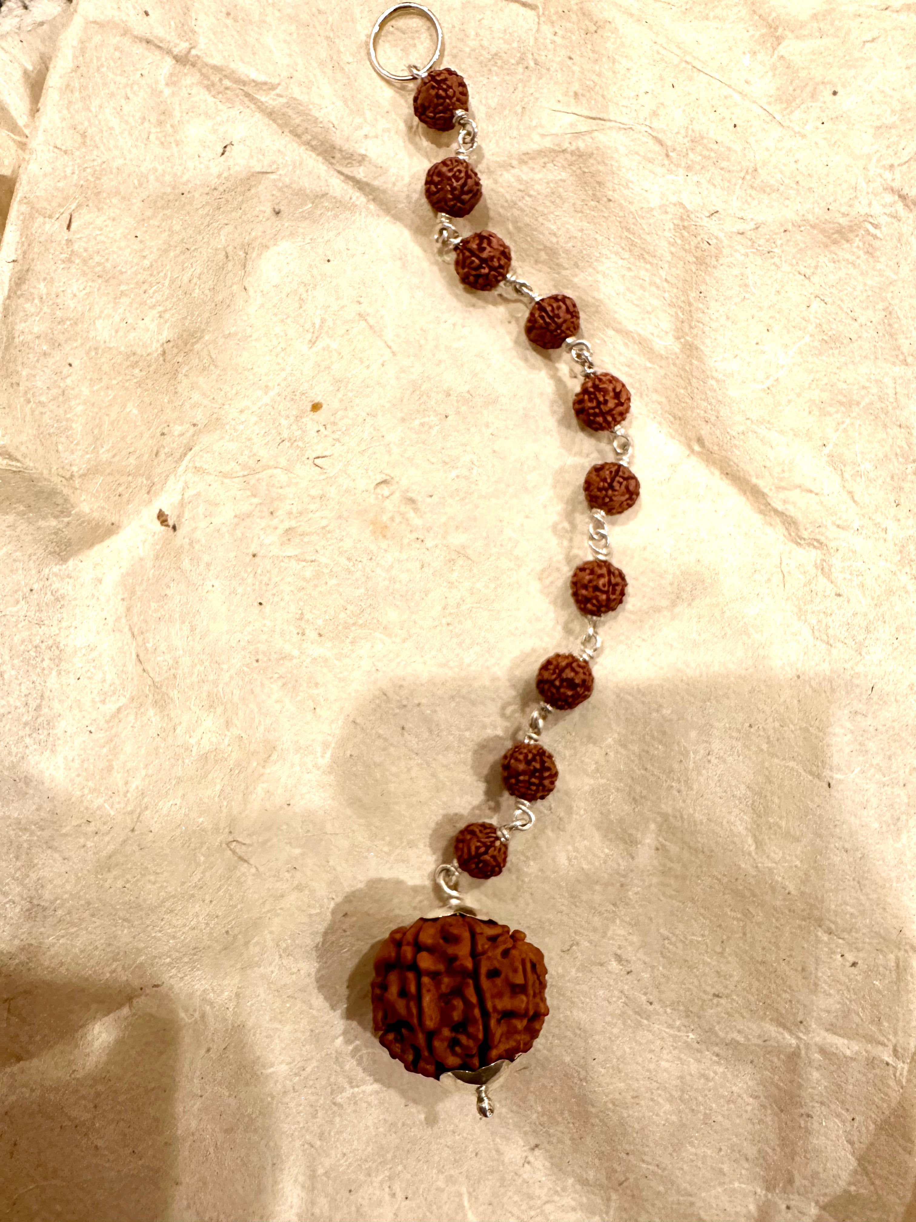 10 Mukhi Rudraksha