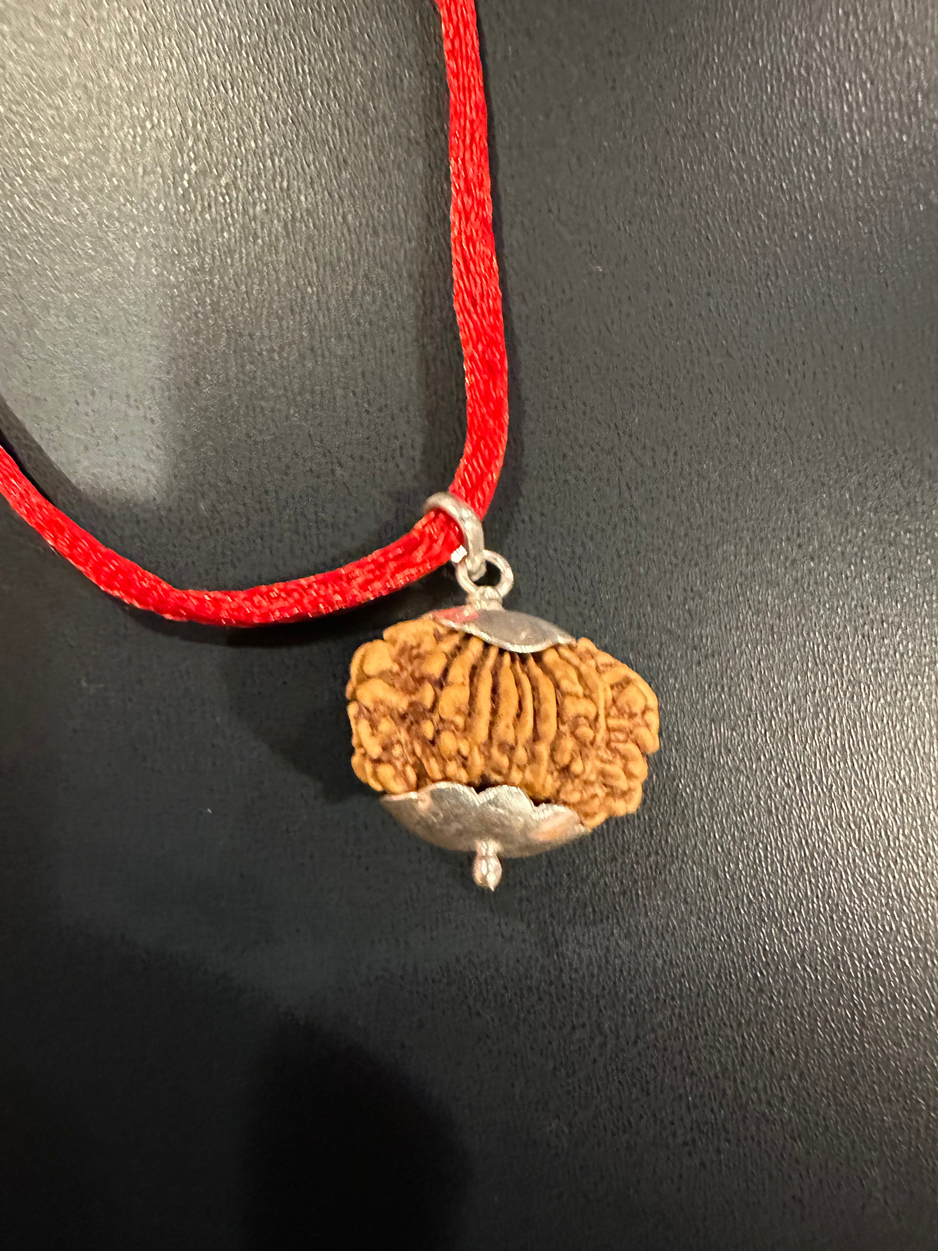 16 Mukhi Rudraksha